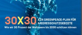 30x30: Greenpeace-Plan zum Meeresschutz