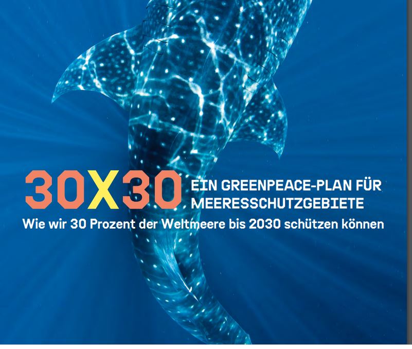 30x30: Greenpeace-Plan zum Meeresschutz