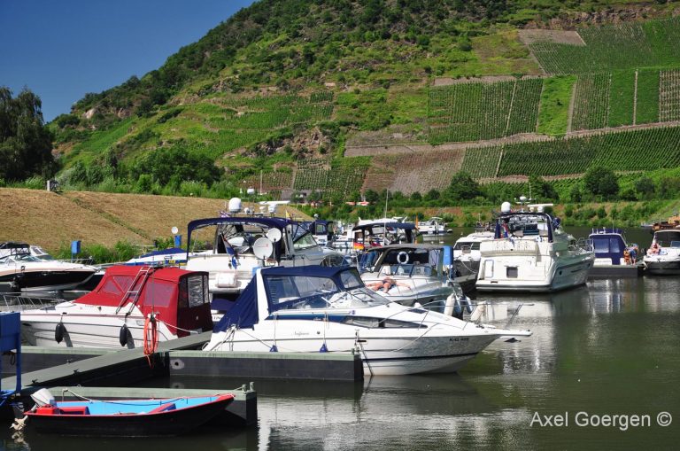 yachthafen senheim mosel