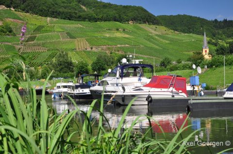 Hafen Senheim