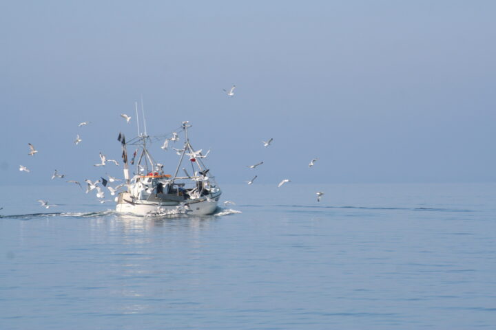 Fischereifahrzeug auf der Ostsee