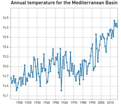 Grafik: Temperaturentwicklung im Mittelmeer