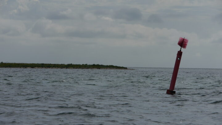 Seezeichen: Backbordtonne auf der Ostsee