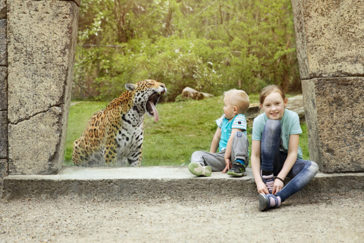 Parken Zoo Eskilstuna